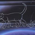 DALGALAR VE ZAMANI DURDURMAK-KUANTUM MEKANİĞİ PARADOKSLARI