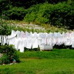 ÇAMAŞIR YIKAMA BİLİMİ