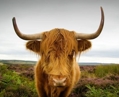 Küresel Isınmanın Gözden Irak Kaynakları