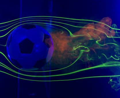 MEŞİN YUVARLAĞIN ANATOMİSİ