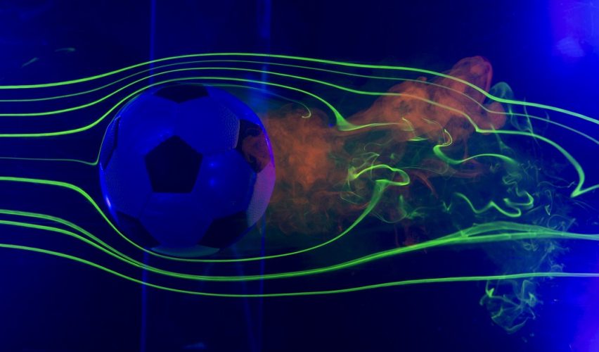 MEŞİN YUVARLAĞIN ANATOMİSİ