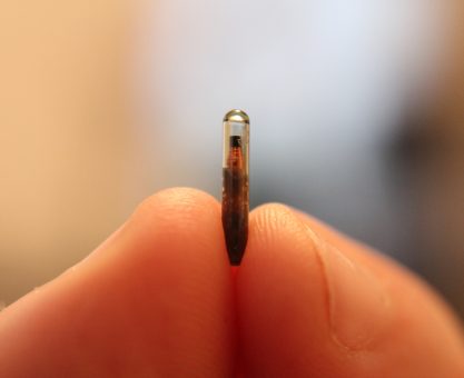 Bir Mikroçipim Olsa: RFID