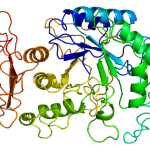 BİR İNSAN GENİNİ EHLİLEŞTİRMEK