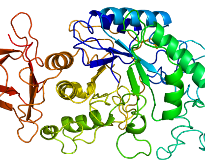 BİR İNSAN GENİNİ EHLİLEŞTİRMEK