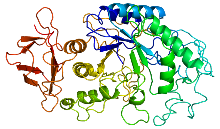 BİR İNSAN GENİNİ EHLİLEŞTİRMEK