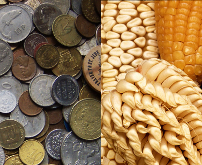 EVREN SADECE JOULE İLE ÖDEME KABUL EDER