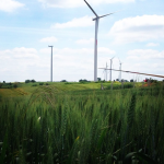 YURTTAN "RES"LER KOROSU