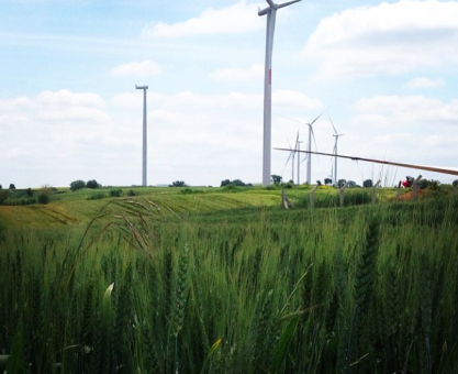 YURTTAN "RES"LER KOROSU