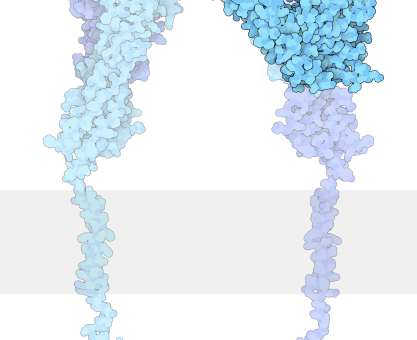EVRİME MOLEKÜLER BAKIŞ: PROTEİNLERİN SÖYLEDİKLERİ