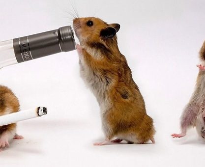 NASIL BAĞIMLI OLUYORUZ?