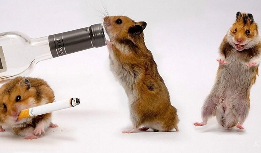 NASIL BAĞIMLI OLUYORUZ?