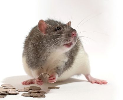 Davranışsal Ekonomi 1 - Fayda Kuramından Beklenti Kuramına