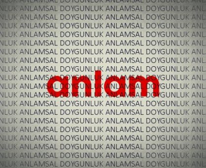 Bir şeyi kırk kere söylemek: Anlamsal doygunluk