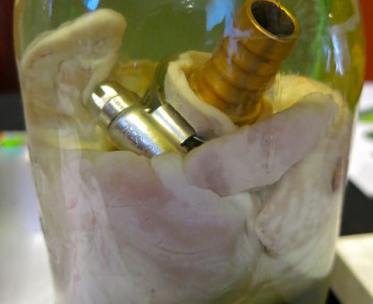 Rejeneratif biyoloji ve tıp uygulamaları