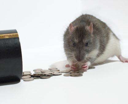 Davranışsal Ekonomi 2 - Yeme Çapaya Gelmeyin!