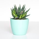 Episode 9: Modern Interior Design