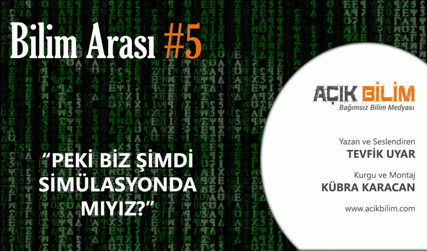 BİLİM ARASI #5: PEKİ BİZ ŞİMDİ SİMÜLASYONDA MIYIZ?