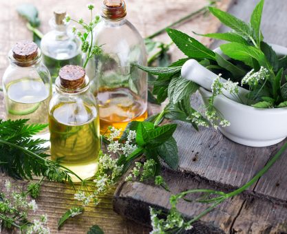 MUHABBET TEORİSİ #88: BİTKİLER... BİTKİLERİMİZ!