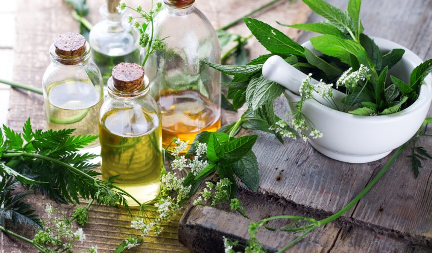 MUHABBET TEORİSİ #88: BİTKİLER... BİTKİLERİMİZ!