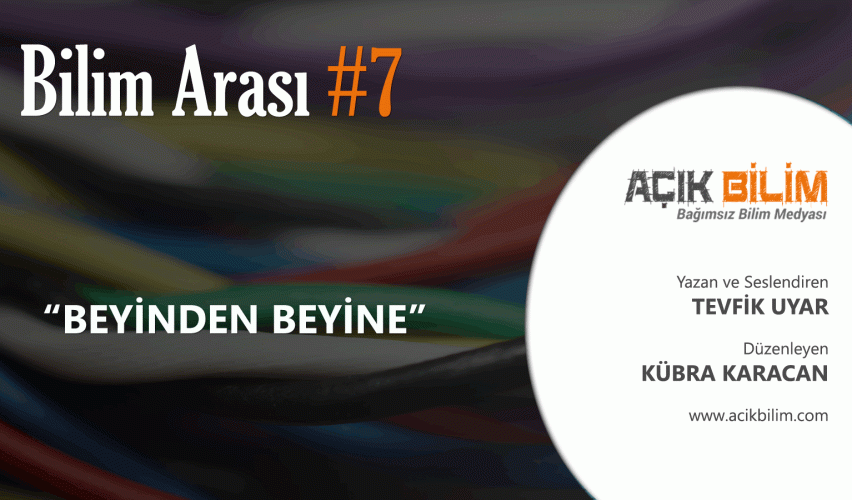 BİLİM ARASI #7: BEYİNDEN BEYİNE...