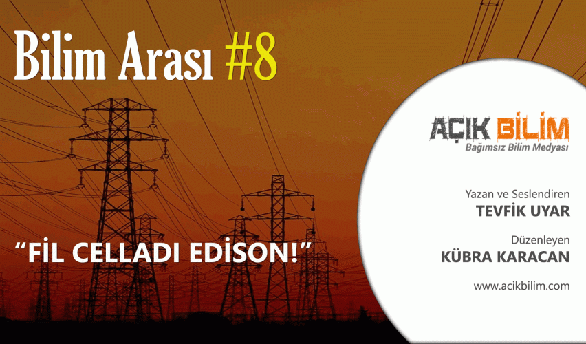 BİLİM ARASI #8: FİL CELLADI EDİSON