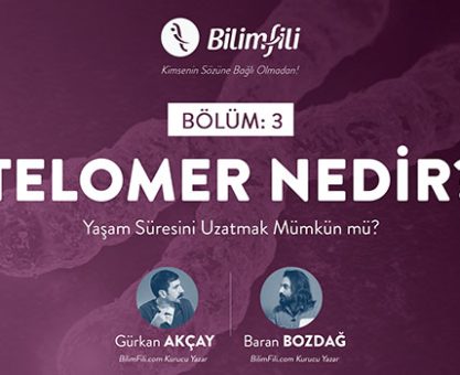 BİLİMFİLİ PODCAST #3: Telomer Nedir? Yaşam Süresini Uzatmak Mümkün mü?