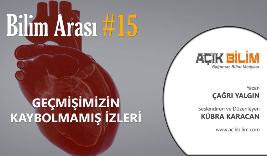 BİLİM ARASI #15: GEÇMİŞİMİZİN KAYBOLMAMIŞ İZLERİ