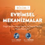 BİLİMFİLİ PODCAST #7: EVRİMSEL MEKANİZMALAR