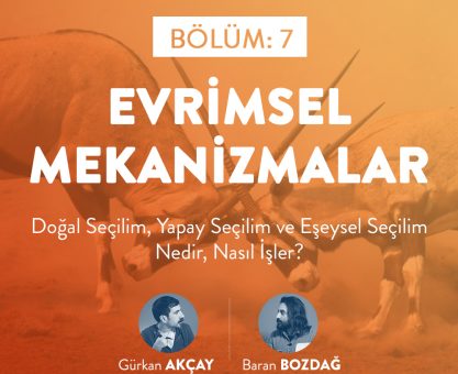 BİLİMFİLİ PODCAST #7: EVRİMSEL MEKANİZMALAR