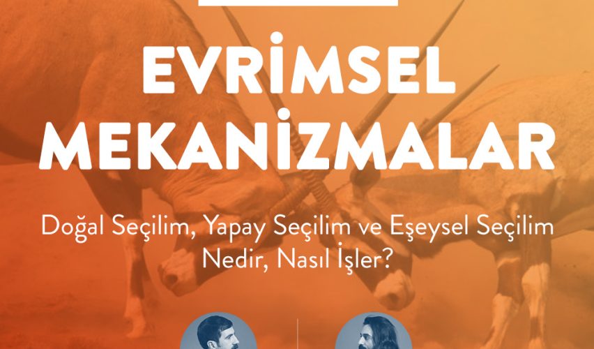 BİLİMFİLİ PODCAST #7: EVRİMSEL MEKANİZMALAR
