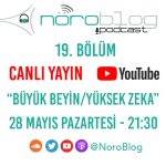 NÖROBLOG PODCAST #19: BÜYÜK BEYİN/YÜKSEK ZEKA
