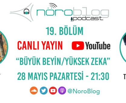 NÖROBLOG PODCAST #19: BÜYÜK BEYİN/YÜKSEK ZEKA