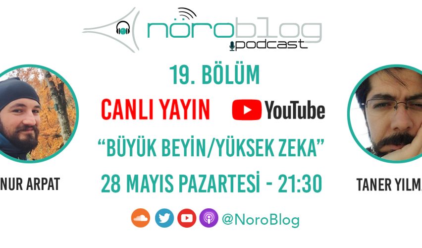 NÖROBLOG PODCAST #19: BÜYÜK BEYİN/YÜKSEK ZEKA