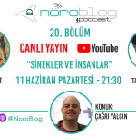 NÖROBLOG PODCAST #20: SİNEKLER VE İNSANLAR