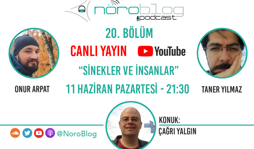 NÖROBLOG PODCAST #20: SİNEKLER VE İNSANLAR