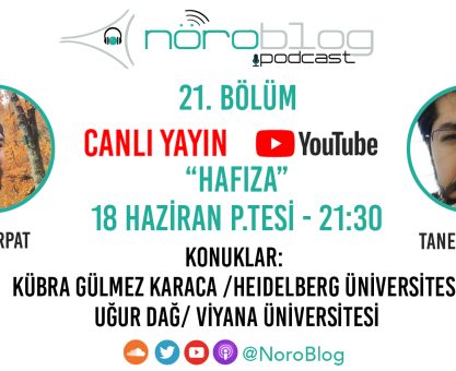 NÖROBLOG PODCAST #21: HAFIZA