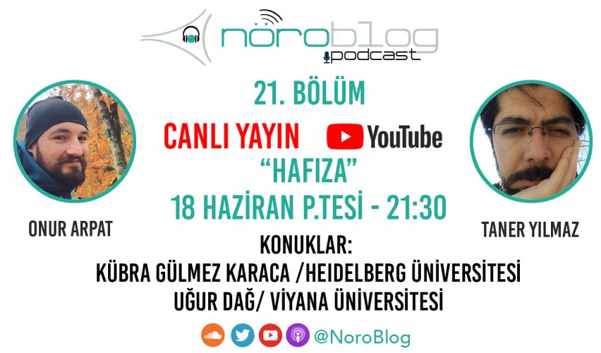 NÖROBLOG PODCAST #21: HAFIZA