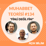MUHABBET TEORİSİ #134: FİNLİ DEĞİL FİN!