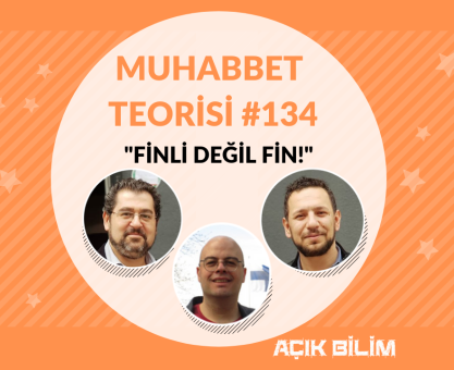 MUHABBET TEORİSİ #134: FİNLİ DEĞİL FİN!