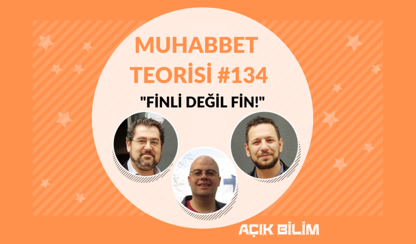 MUHABBET TEORİSİ #134: FİNLİ DEĞİL FİN!