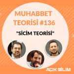 MUHABBET TEORİSİ #136: SİCİM TEORİSİ