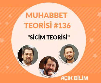 MUHABBET TEORİSİ #136: SİCİM TEORİSİ