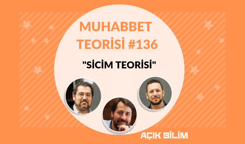 MUHABBET TEORİSİ #136: SİCİM TEORİSİ