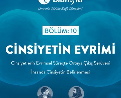 BİLİMFİLİ PODCAST #10: Cinsiyetin Evrimi ve İnsanda Cinsiyetin Belirlenmesi