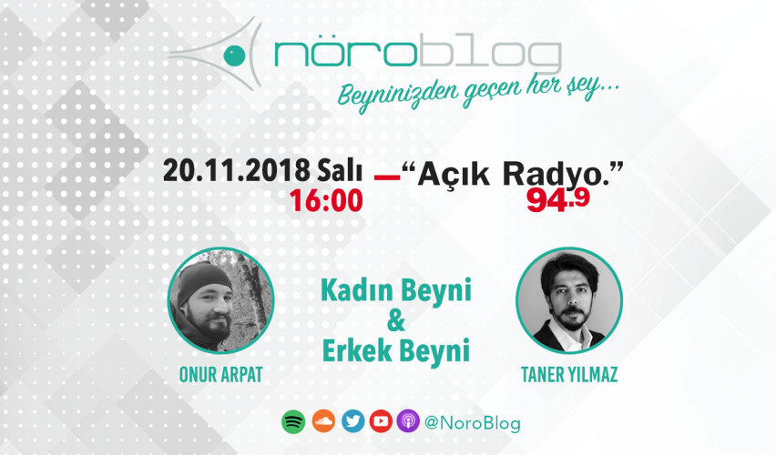 NÖROBLOG RADYO YAYINI #2: KADIN BEYNİ & ERKEK BEYNİ