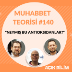 MUHABBET TEORİSİ #140: NEYMİŞ BU ANTİOKSİDANLAR?
