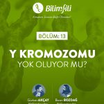 BİLİMFİLİ PODCAST#13: Y KROMOZOMU YOK OLUR MU?