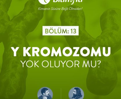 BİLİMFİLİ PODCAST#13: Y KROMOZOMU YOK OLUR MU?