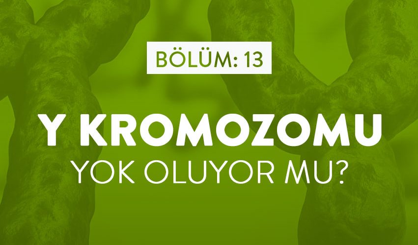 BİLİMFİLİ PODCAST#13: Y KROMOZOMU YOK OLUR MU?
