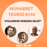 MUHABBET TEORİSİ #144: ATALARIMIZ NEREDEN GELDİ?